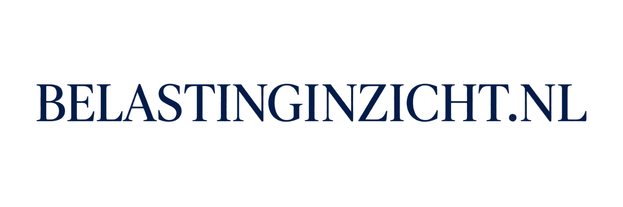 Belastinginzicht.nl